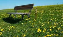 乐观是人生最美的姿态