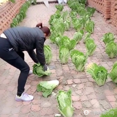在砖上写的小女孩