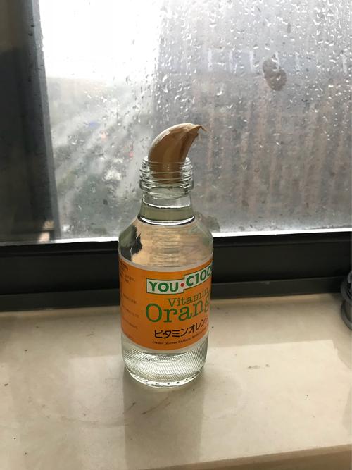 种植大蒜