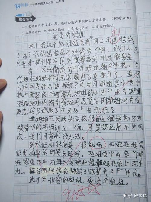 照顾姐姐的作文