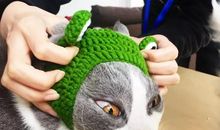 那是一次“西天取经”般的尝试