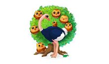 有趣的再生动物