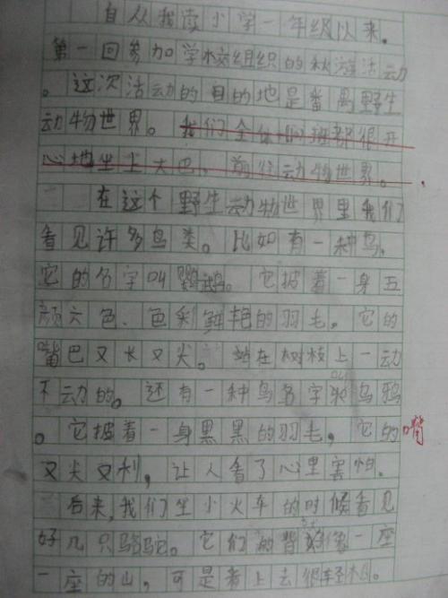 我学会了缝制纽扣