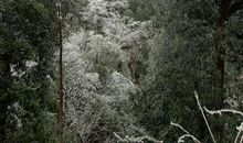 遇见你我很快乐