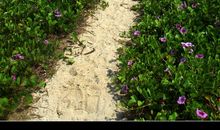 人类！还我们一片碧水蓝天！