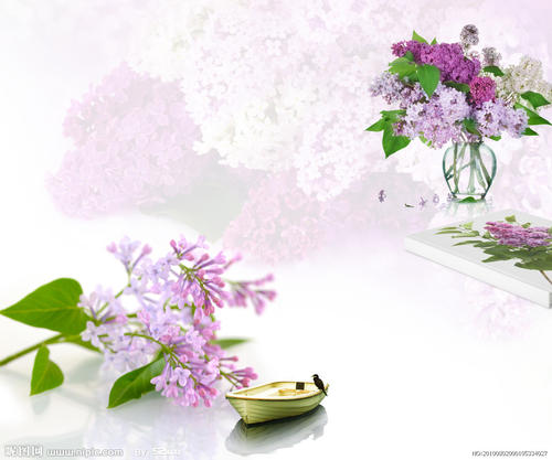 花梦