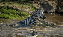 那一刻我羞愧万分