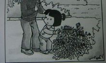 不能摘花看图写话