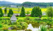 漫步于社团活动的庭院中