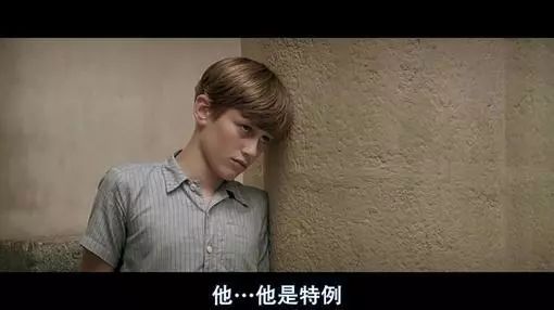 春季看牛课的感觉