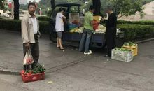 和不文明说再见