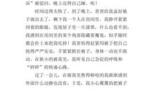 我战胜了自己作文600字