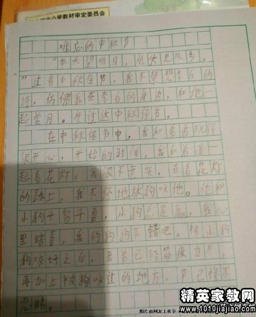 为端午节作文