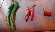 辣椒的味道