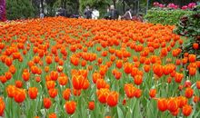 我们生活充满阳光