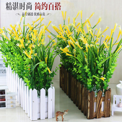 角落里的绿色