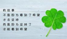 新的一年新的愿望