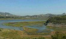 大洋，我的故乡