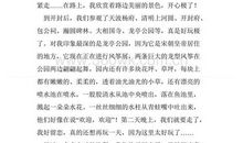 街头见闻作文300字