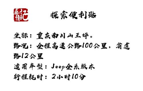 魅力王平