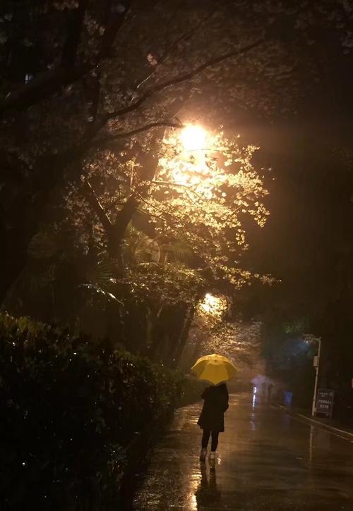夜晚的人物