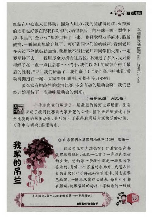 描述蜘蛛植物的成分