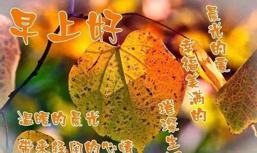新年第三天的早晨