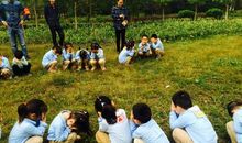 丛林穿越亲子活动