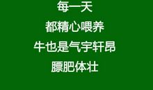 那一刻我懂得了关爱