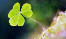 生命中的那条路