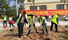 植树造林，从我做起