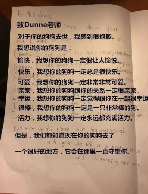 给已故爷爷的一封信