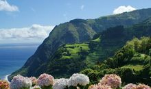 亮丽的“风景线”