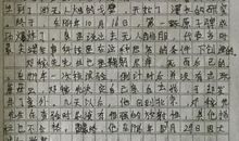 这样的人让我什么作文