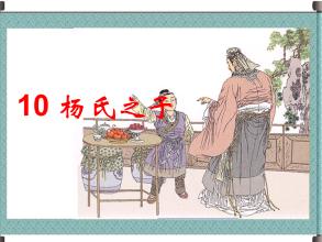 杨子的新故事