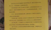 我亲爱的甜橙树读后感