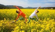 春天里的油菜花