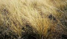 苦难是一种力量