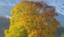 休闲生活，如此美好