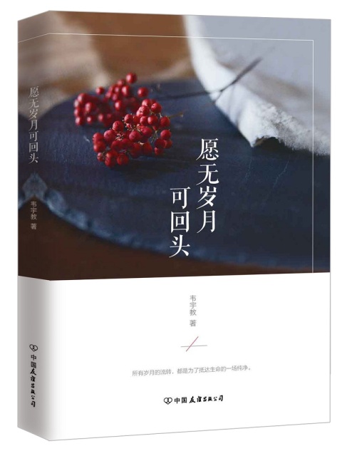 愿岁月流逝
