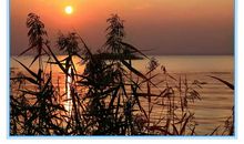 慢，也是一种境界