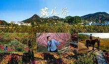 与众不同的一次春游