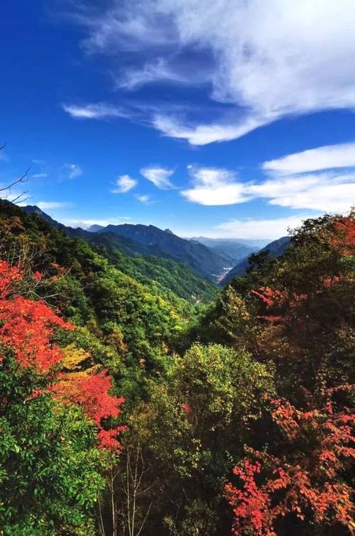 美丽的秦岭