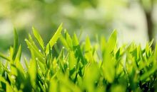 用心体验习俗，用爱感受生活