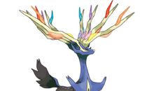 和谐是一种最美的生命姿态