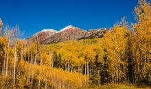 秋天的那个早晨