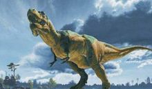 假如世界上没有人类