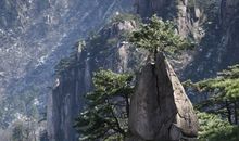 美丽而雄伟的黄山