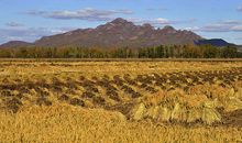 又见田野，真好