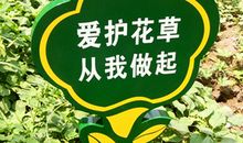 爱护草坪拍摄